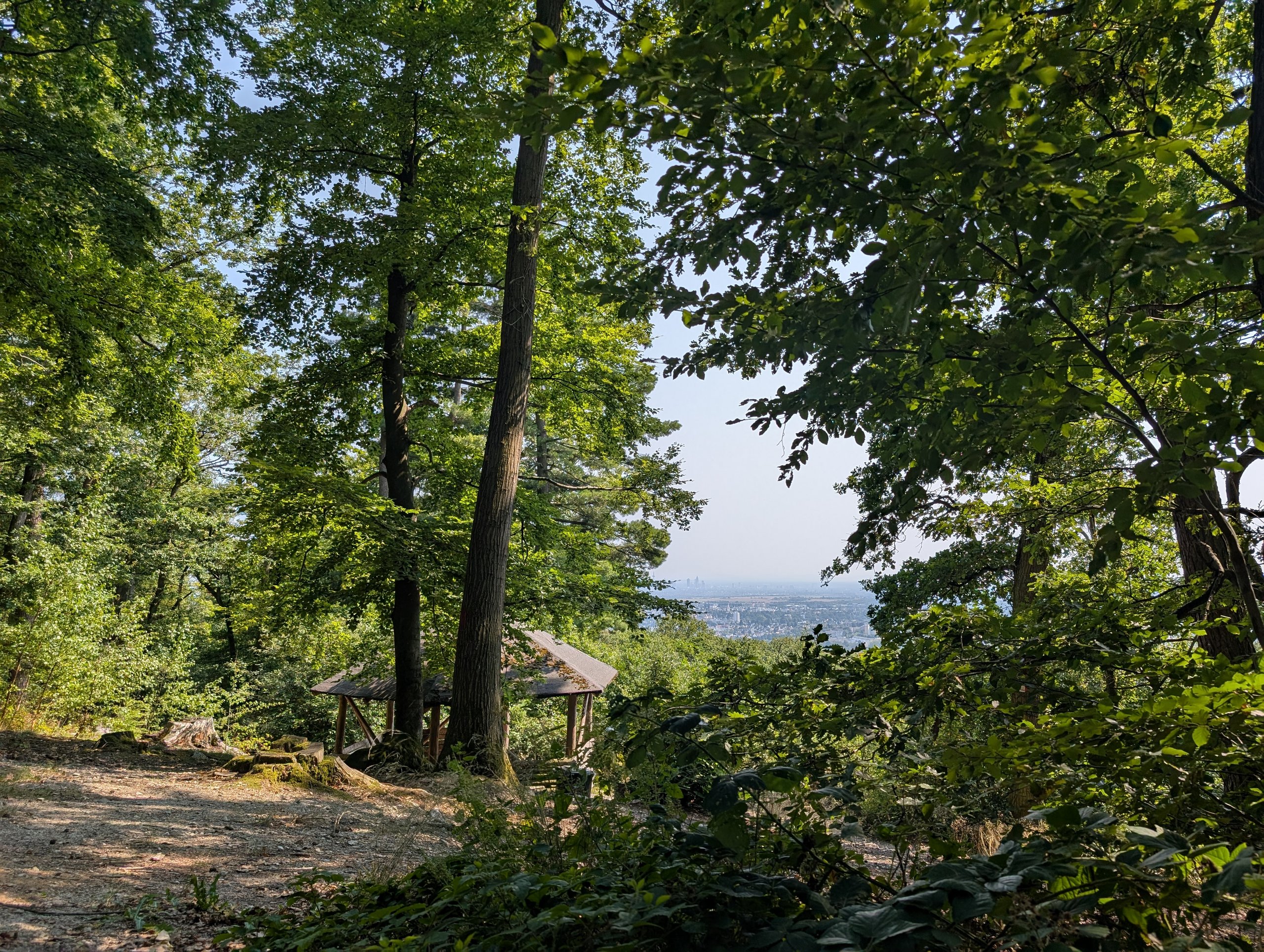 Auf dem Bild ist hinter zwei Bäumen die Schutzhütte am Pelagiusplatz zu sehen. Im Hintergrund des Bildes ist der Blick auf die Skyline von Frankfurt erkennbar. Umrahmt wird der Ausblick von diversen Bäumen.
