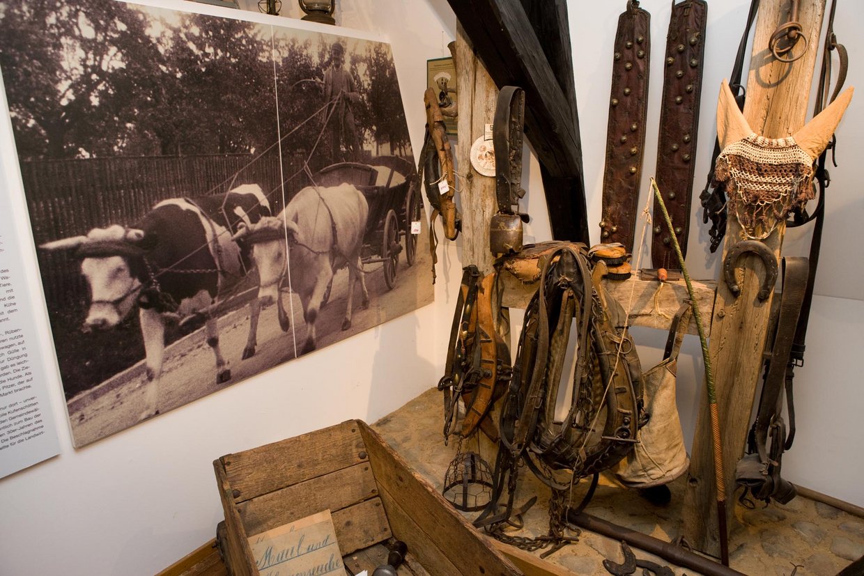 Auf der Darstellung sind Exponate des ländlichen Lebens, ausgestellt im Heimatmuseum Seulberg, zu sehen.