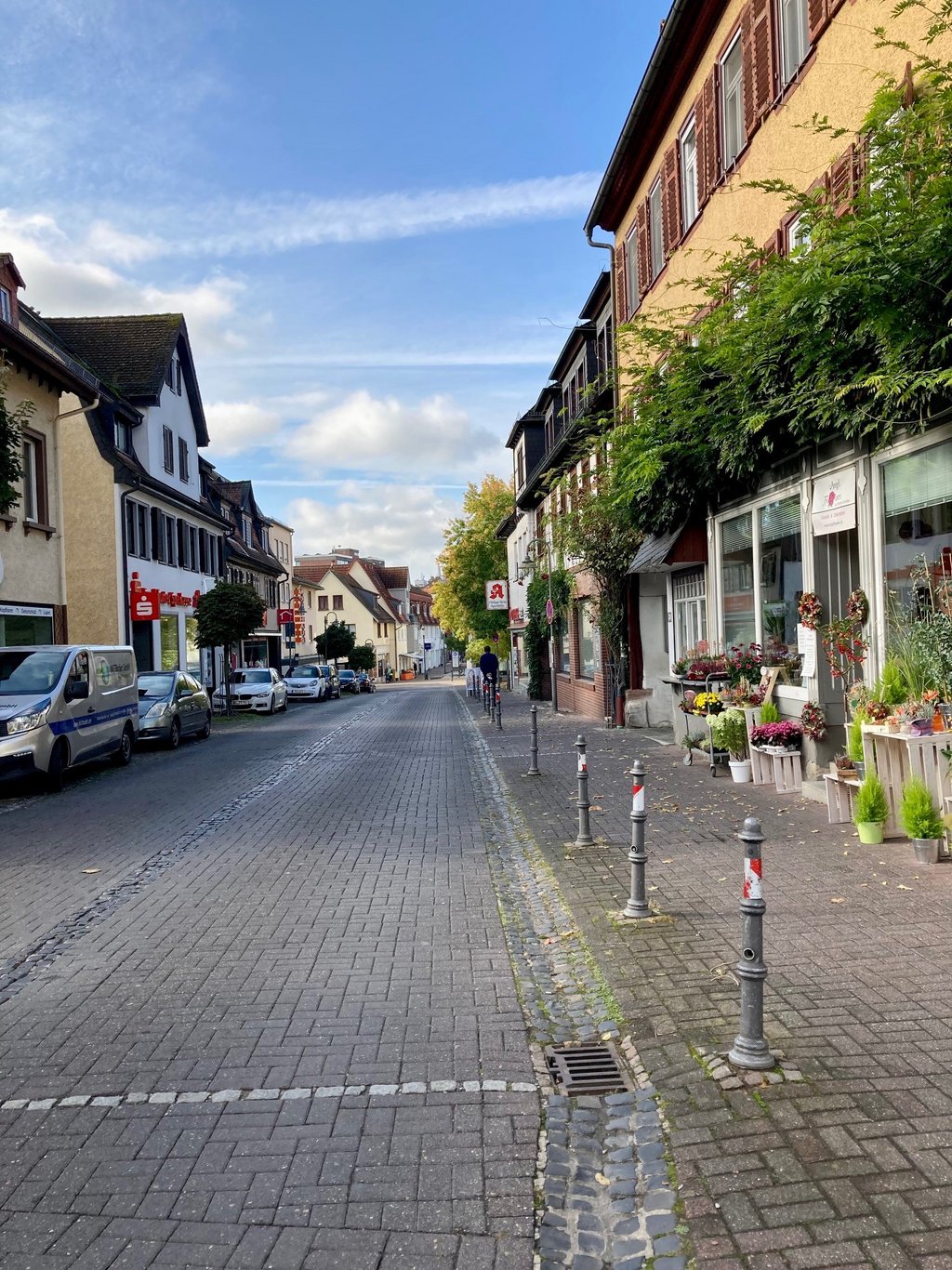 : Zu sehen ist eine Einzelhandelsstraße mit einem Blumengeschäft.
