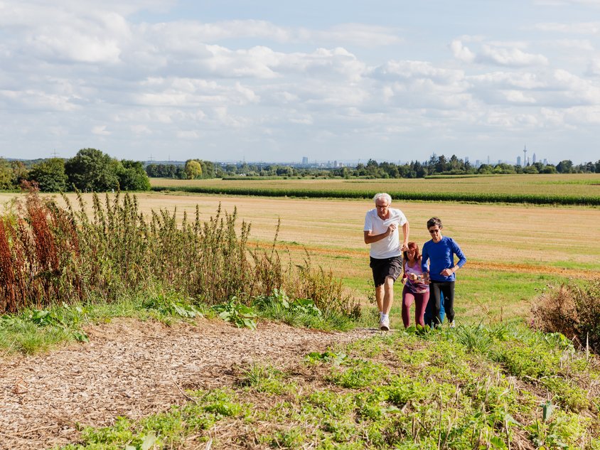 Das Bild zeigt Menschen, die auf der Finnenbahn joggen.