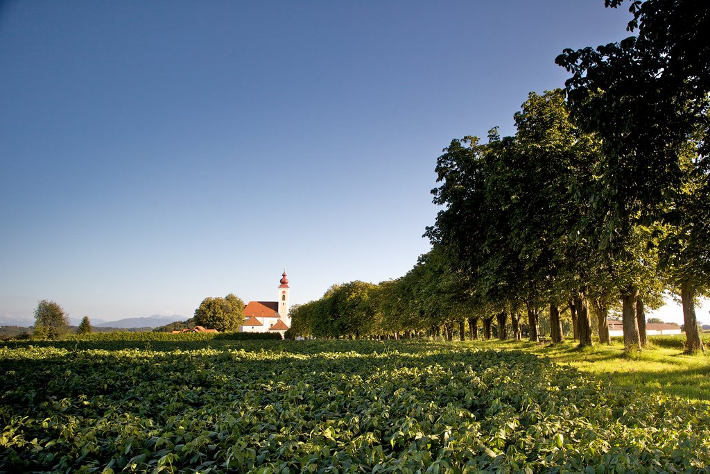 Auf der Darstellung ist die Pfarrkirche St. Stephan von Bad Wimsbach-Neydharting zu sehen.