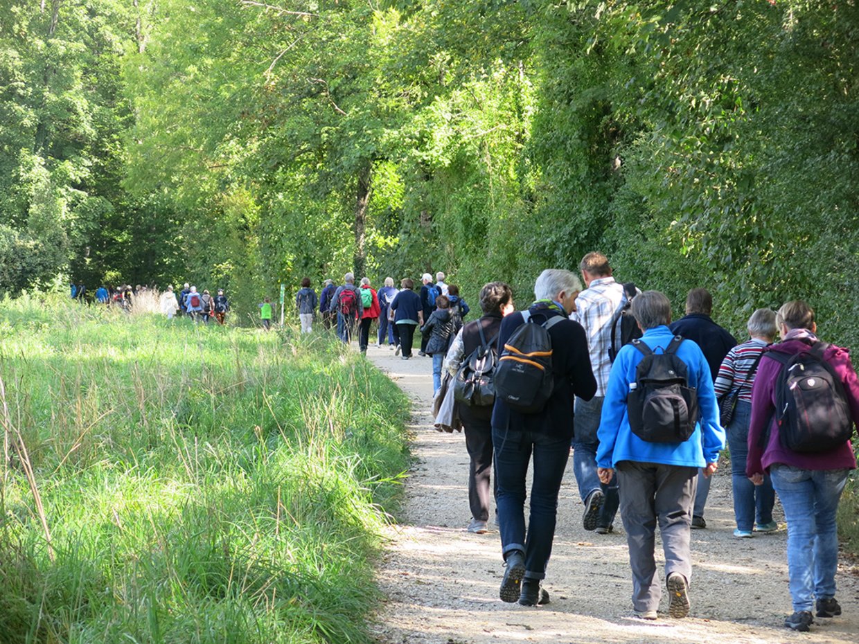 Auf der Darstellung ist eine Wandergruppe zu sehen.