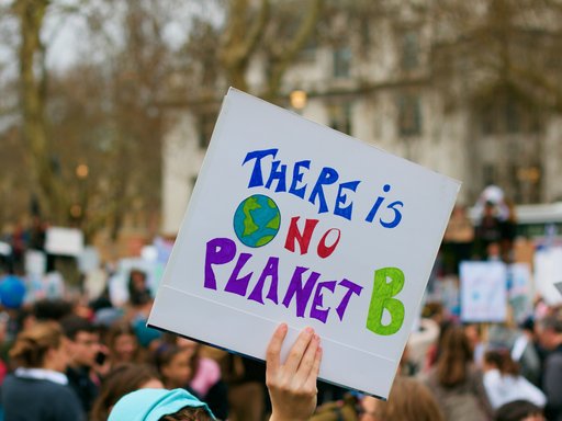 In einer Menschenmenge wird ein Plakat hochgehalten. Auf dem Plakat steht "There ist no planet b". Was frei interpretiert bedeutet, dass die Erde einzigartig und schützenswert ist, da es keine Alternative zu ihr gibt.