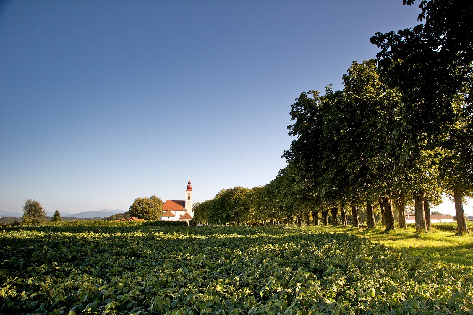 Auf der Darstellung ist die Pfarrkirche St. Stephan von Bad Wimsbach-Neydharting zu sehen.