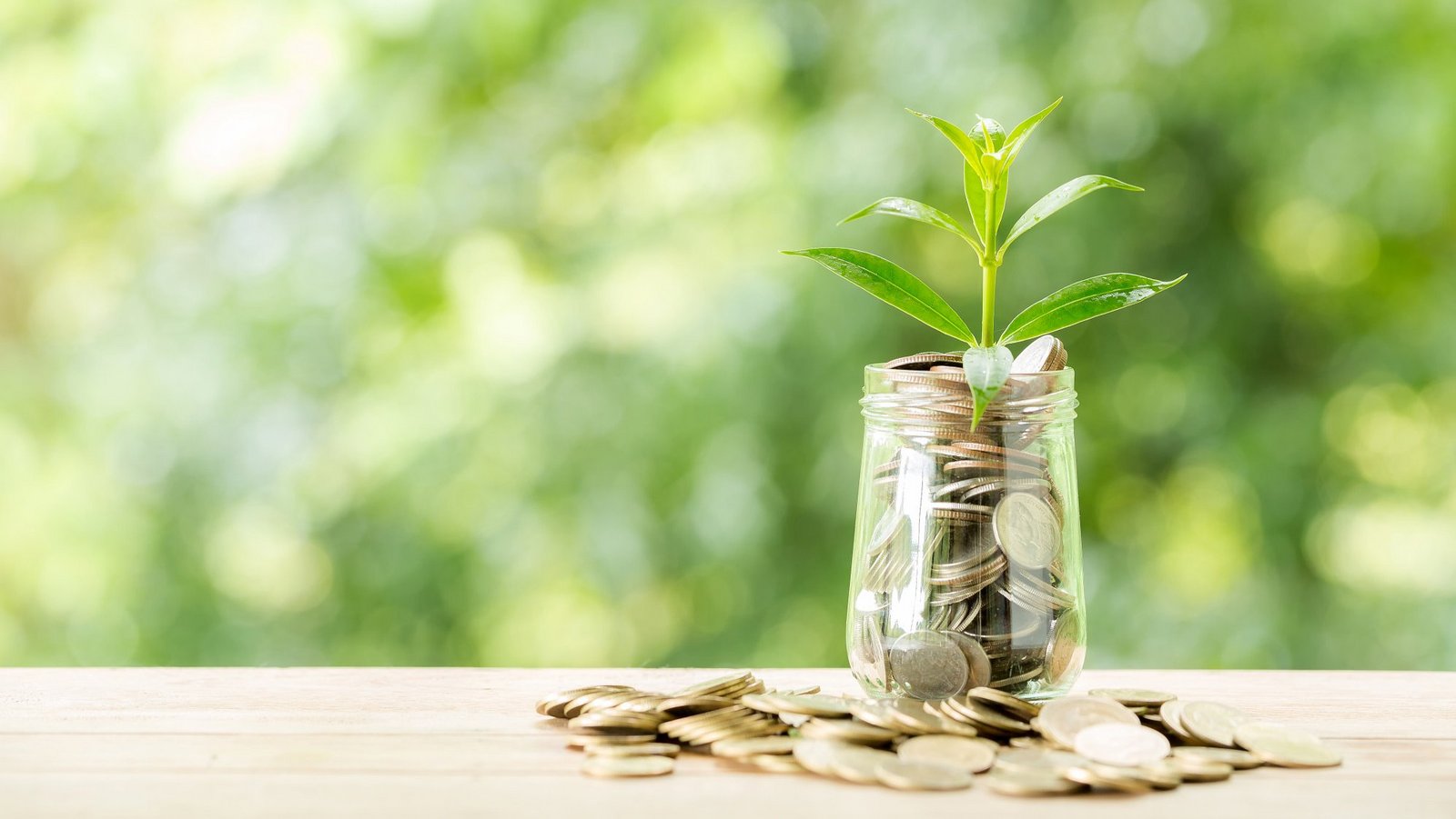Das Bild zeigt ein Glas gefüllt mit Geldmünzen und eine kleine Pflanze, die aus den Geldmünzen wächst.