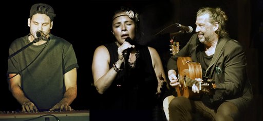 Auf dem Bild ist eine Collage der drei Musiker des Jessica Born Trios mit ihren Instrumenten zu sehen.